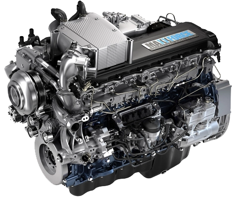 Maxxforce 11 DPF EGR delete tuning