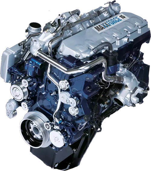 Maxxforce 15 DPF EGR delete tuning